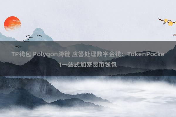 TP钱包 Polygon跨链 应答处理数字金钱：TokenPocket一站式加密货币钱包