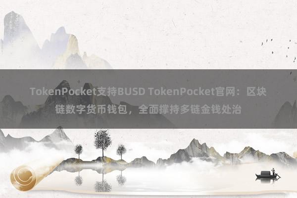 TokenPocket支持BUSD TokenPocket官网：区块链数字货币钱包，全面撑持多链金钱处治